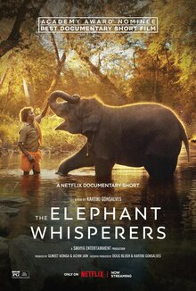 the elephant whisper 2