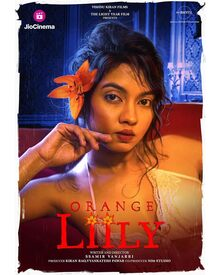 Orange Lilly 2023